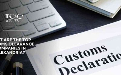 What Are the Top Customs Clearance Companies in Alexandria?